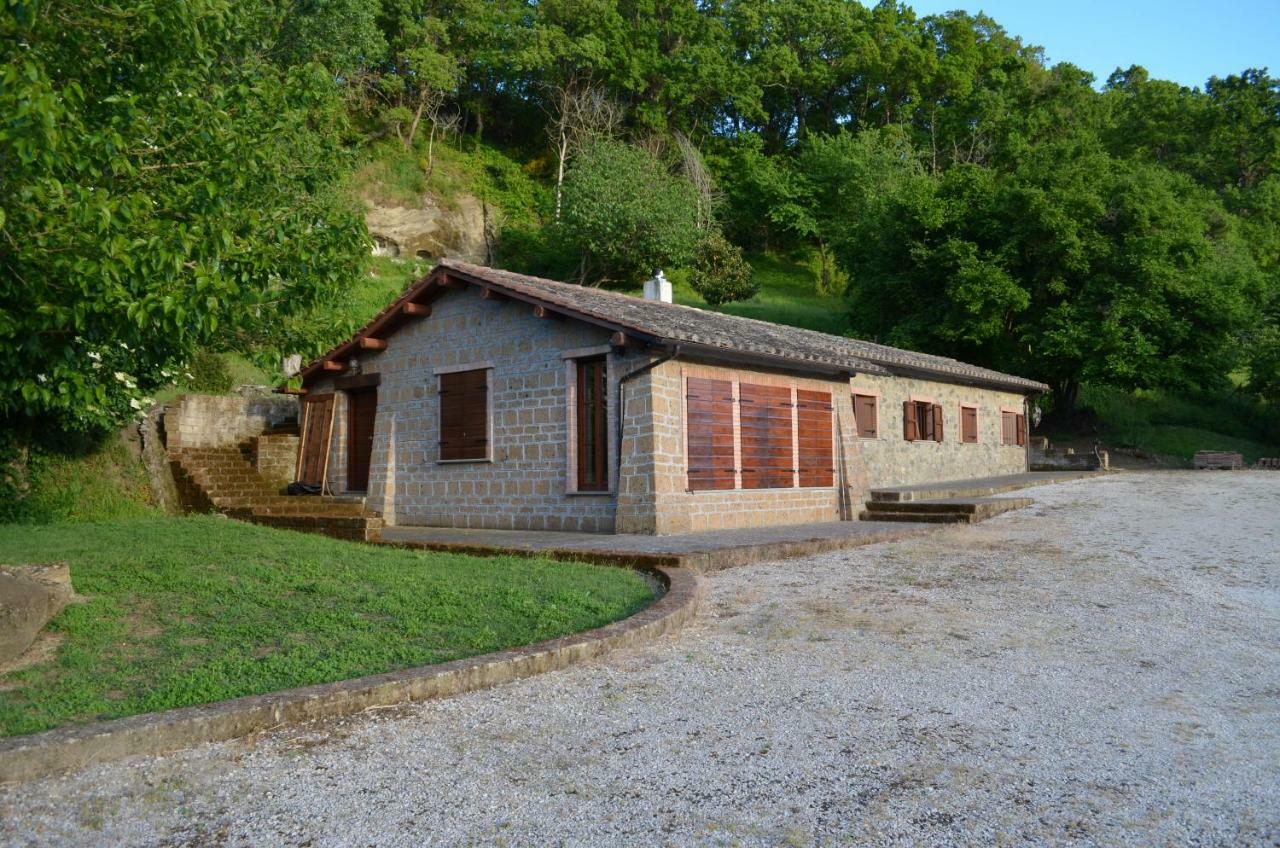 Casa Sorgente Daire Montefiascone Dış mekan fotoğraf