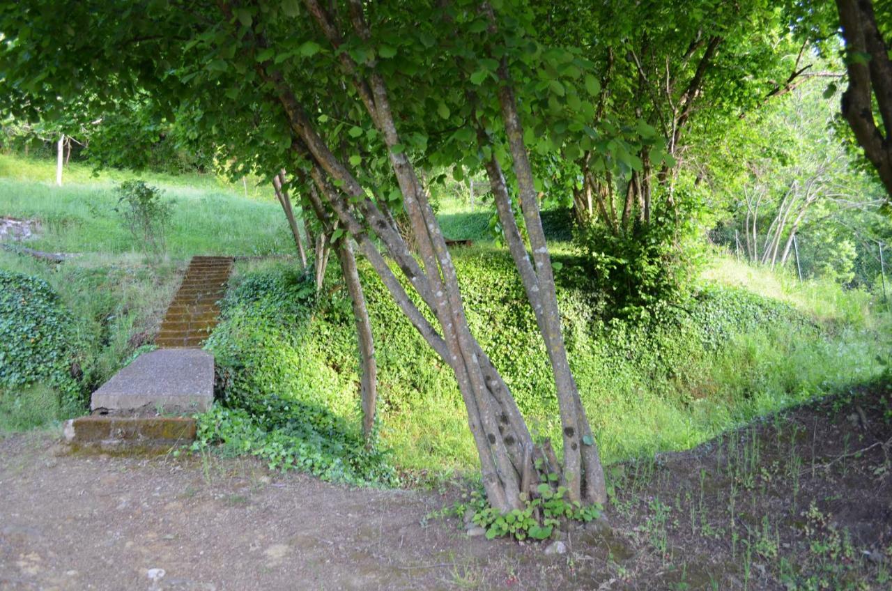 Casa Sorgente Daire Montefiascone Dış mekan fotoğraf