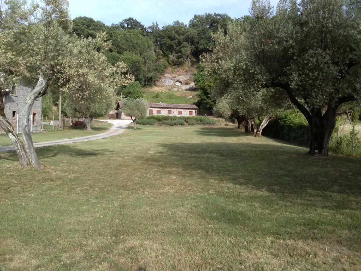 Casa Sorgente Daire Montefiascone Dış mekan fotoğraf