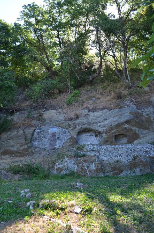 Casa Sorgente Daire Montefiascone Dış mekan fotoğraf