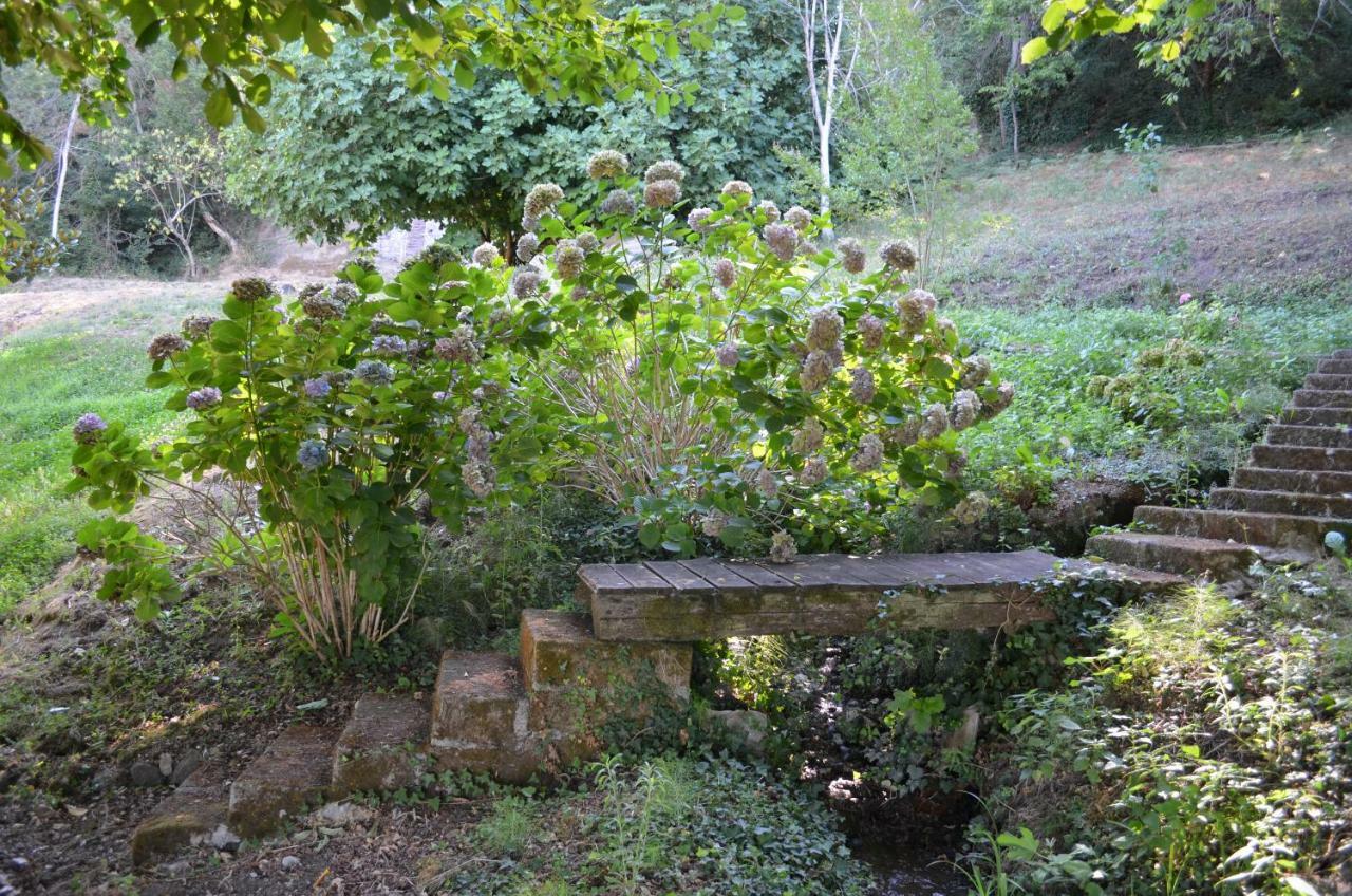 Casa Sorgente Daire Montefiascone Dış mekan fotoğraf